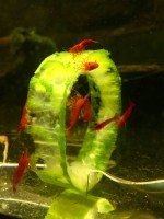 /album/fotogalerij/foto-09-06-17-19-03-13-preview-jpeg/